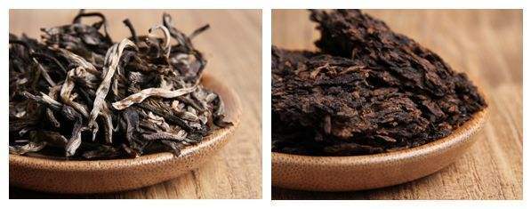 普洱茶生茶和熟茶外观的区别