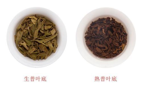 普洱茶生茶和熟茶叶底上的区别