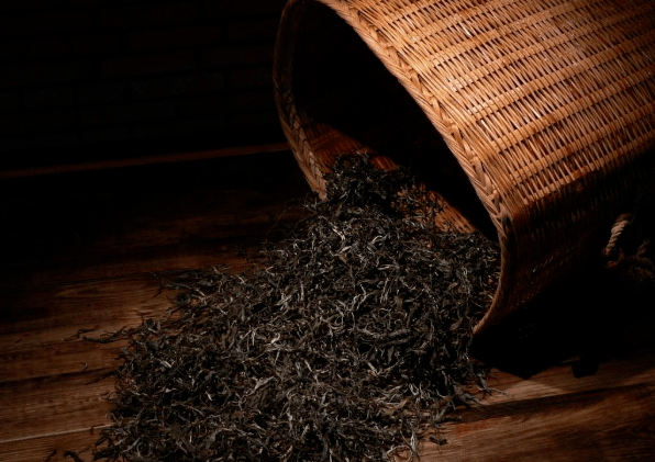普洱茶的起源与历史
